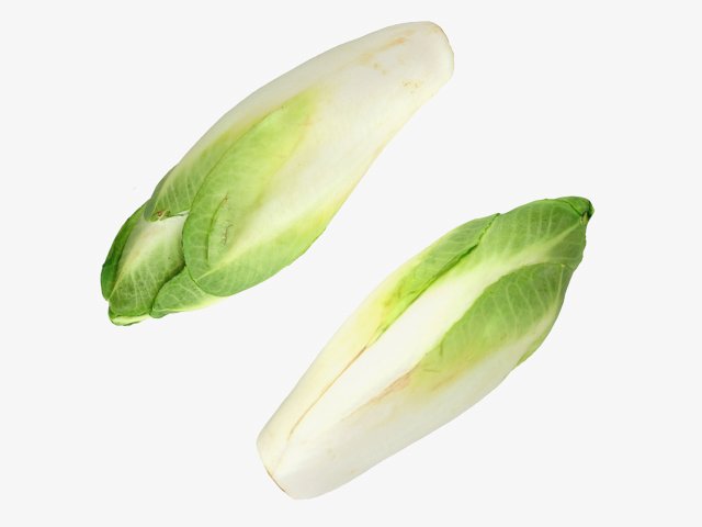 Belgian Endive Modello 3D .c4d .max .obj .3ds .fbx .stl .blend 