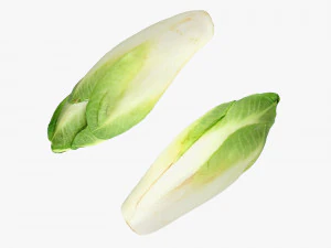 End&iacute;via Belga Modelo 3D