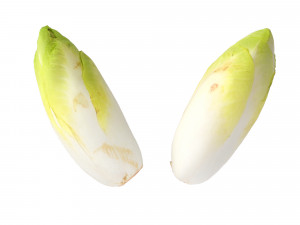 Belgian Endive Modello 3D