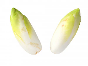 Belgian Endive 3D Model