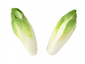 Belgian Endive Modello 3D