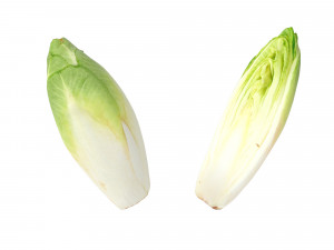 Belgian Endive Modello 3D
