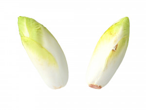 Belgian Endive Modello 3D