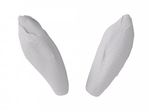 Belgian Endive Modello 3D