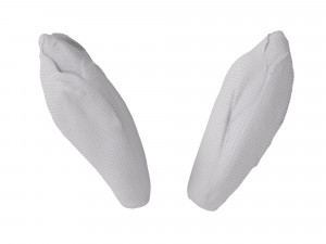 Belgian Endive Modello 3D