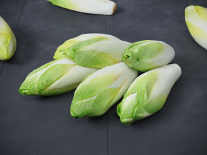 Belgian Endive Modello 3D