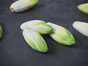 Belgian Endive Modello 3D