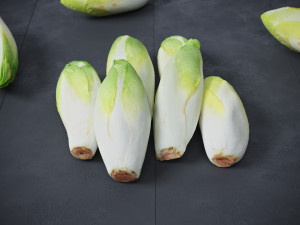 Belgian Endive Modello 3D