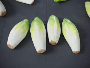 Belgian Endive Modello 3D