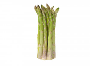 Asparagus Modelo 3D