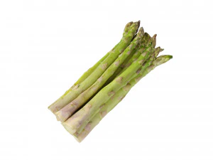 Asparago Modello 3D