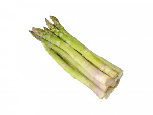 Asparagus Modelo 3D