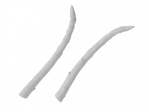 Asparagus Modelo 3D