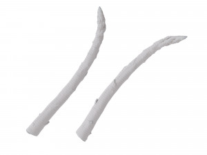 Asparagus Modelo 3D