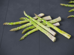 Asparagus Modelo 3D