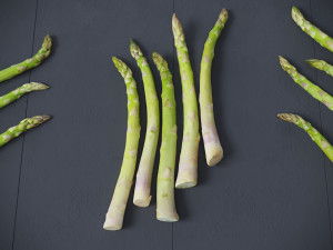 Asparagus Modelo 3D