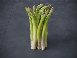 Asparagus Modelo 3D