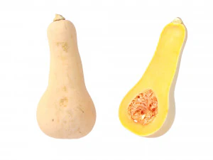 Butternut Squash 3D Model