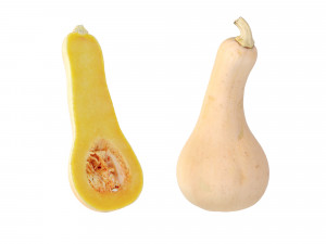 Butternut Squash Modelo 3D