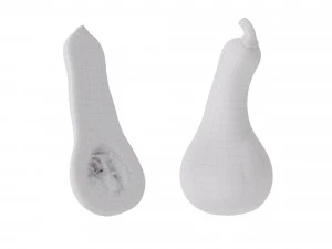Butternut Squash 3D Model