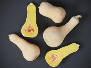 Butternut Squash 3D Model