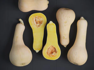 Butternut Squash 3D Model