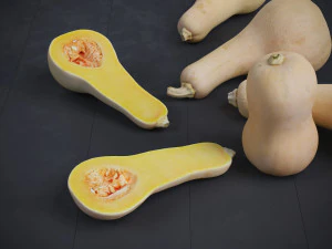 Butternut Squash 3D Model