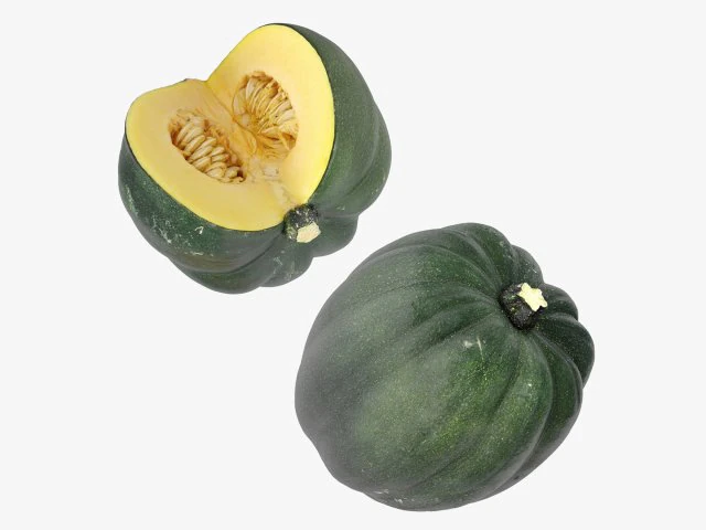 Acorn Squash 3D Model .c4d .max .obj .3ds .fbx .stl .blend 