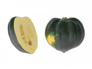 Acorn Squash 3D Модель