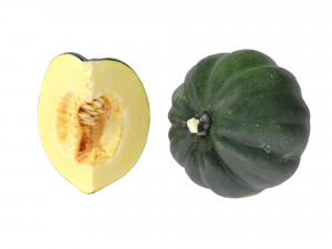 Acorn Squash 3D Модель