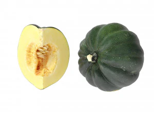 Acorn Squash 3D Model