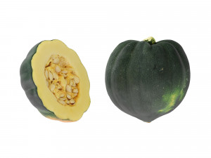 Acorn Squash 3D Модель