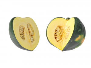 Acorn Squash 3D Модель