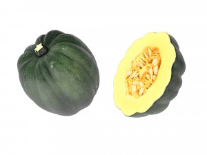 Acorn Squash 3D Модель