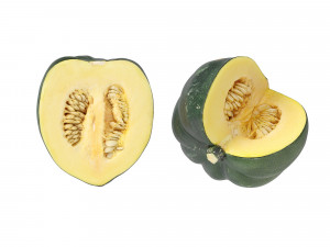 Acorn Squash 3D Модель