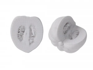 Acorn Squash 3D Model