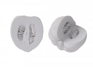 Acorn Squash 3D Model