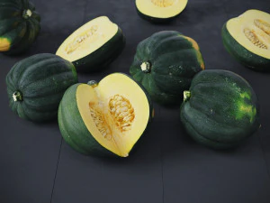 Acorn Squash 3D Model