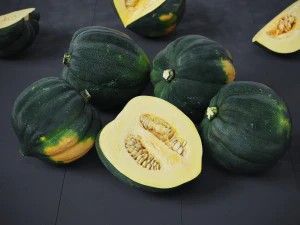 Acorn Squash 3D Model