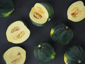 Acorn Squash 3D Model
