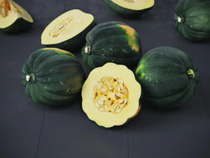 Acorn Squash 3D Model