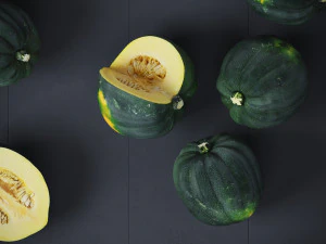 Acorn Squash 3D Model