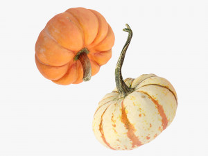 Pumpkins Modelo 3D
