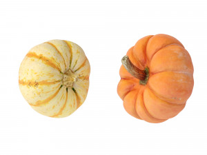 Pumpkins Modelo 3D