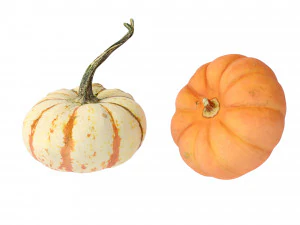 Pumpkins 3D Model