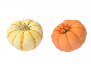 Pumpkins 3D Model