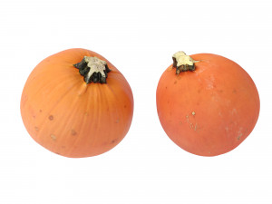 Pumpkins Modelo 3D