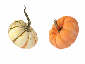 Pumpkins Modelo 3D