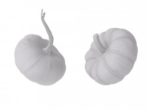 Pumpkins Modelo 3D