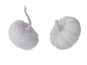 Pumpkins 3D Model